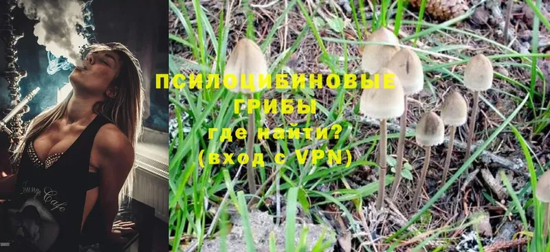 Галлюциногенные грибы Psilocybine cubensis  мориарти наркотические препараты  Осташков 